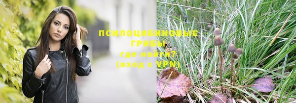 2c-b Белоозёрский