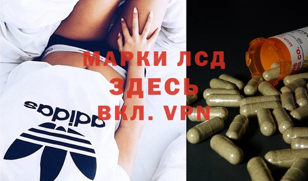 ешки Белокуриха
