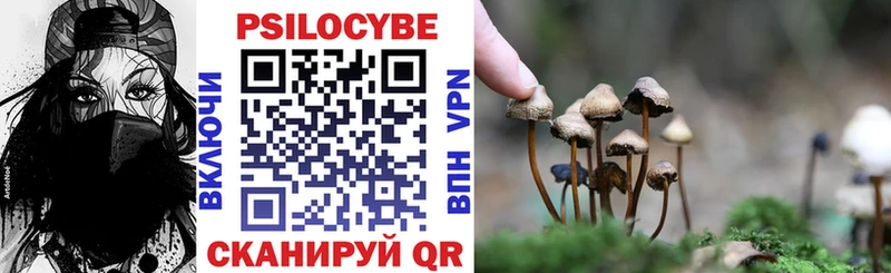 Псилоцибиновые грибы GOLDEN TEACHER  Верхний Уфалей 